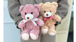 Teddy bear (in color)