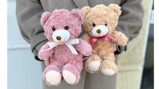 Teddy bear (in color)