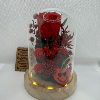 Cópula con leds y rosa ETERNA ROJA 