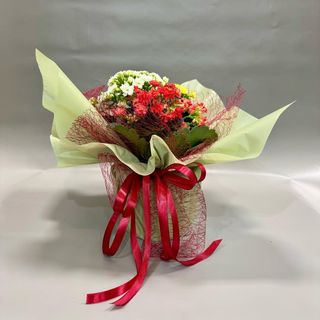 Kalanhoa aranžirana