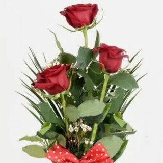 Ramo de 3 Rosas y Jarrón