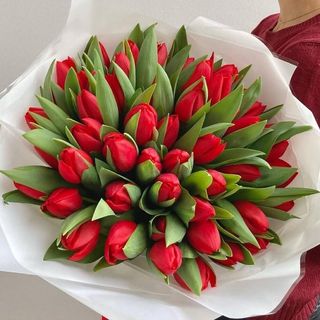 Букет із 51 червоного тюльпану