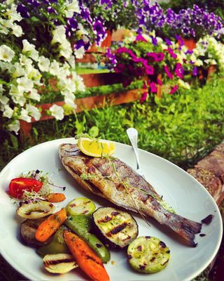 Ципура (300г)