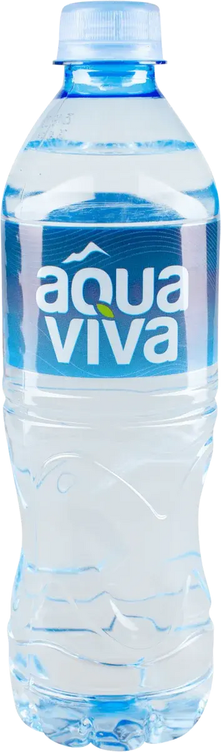 Negazirana voda  Aqua Viva 750ml