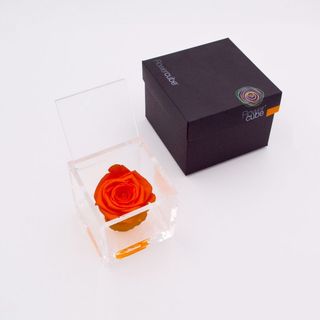 Rosa preservada Flowercube 8x8 Color Rojo Naranja
