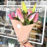 Lys Roses 