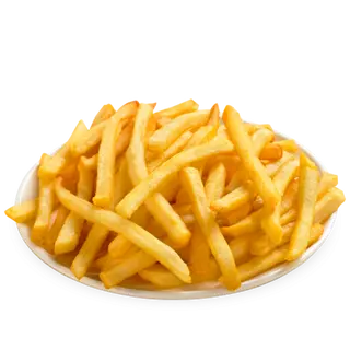 loaded fries