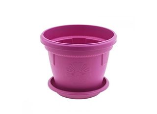 Саксия, циклама, Ф25