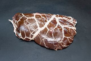 Fegato suino con la retina