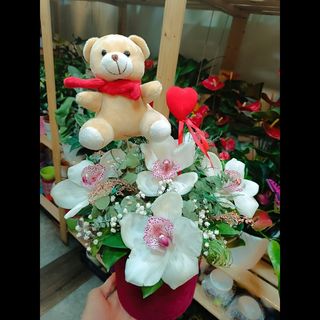 Cilindar meda i bele orhideje 