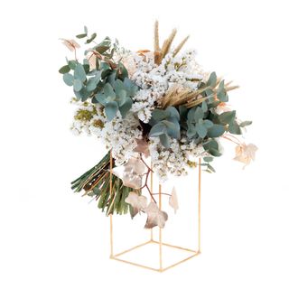 Golden Eucaliptus con estructura dorada