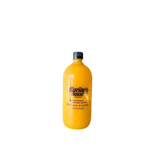 Mango Juice 1 Ltr