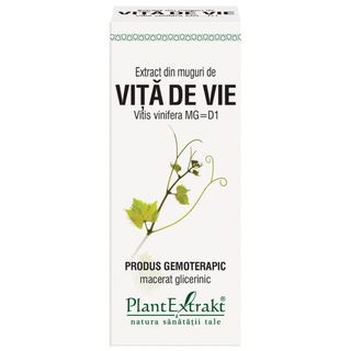 Extract din muguri de vita de vie (VITIS VINIF.)