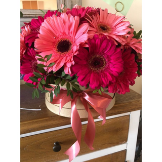 გერბერების ბოქსის კომპოზიცია