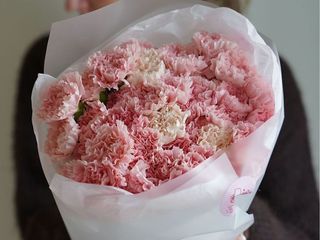Pink Carnation Mix M Size