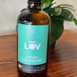 Kombucha Menta, Moringa Y Jengibre