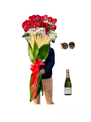 100 ROSE ROSSE+BAULETTO  BODRATO+Champagne Gallimard Père & Fils Cuvée  