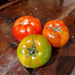 Pomodori verdi da insalata 500 g