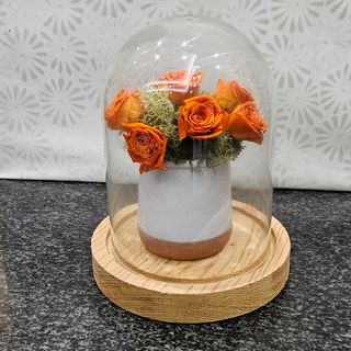 Roselline stabilizzate 