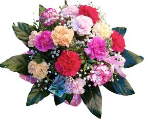 Średni bukiet z kolorowych goździków