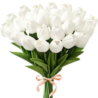 20 tulipani bianchi