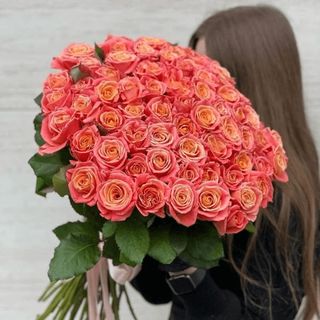 51 коралова троянда