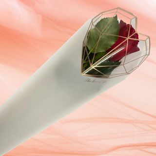 Trandafir rosu in folie