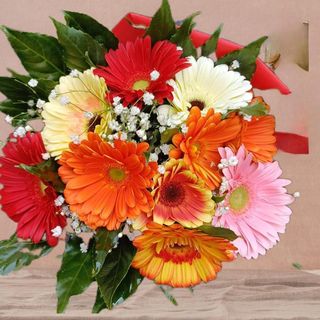 Janet bouquet gerbere misura media