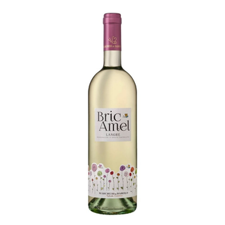 Marchesi di Barolo Bric Amel Langhe 2018 12.5% 0.75 L