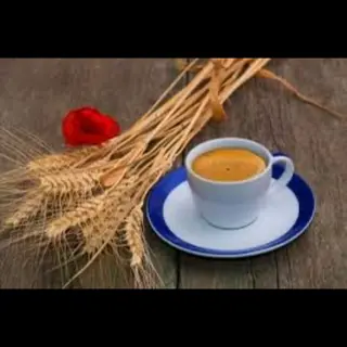 Caffè orzo grande