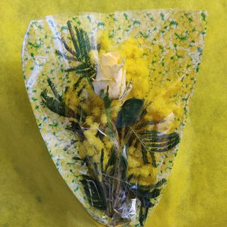 Rosa gialla con mimosa 