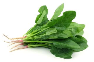 Espinaca Fresca 300- 400 Gr 
