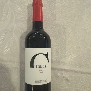 Ribera del duero