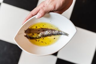 Anchoas 7 Portes Con Pan De Coca Y Tomate (4 uds.)