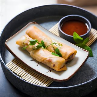 Spring rola od patke