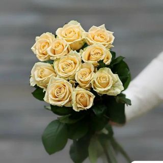 11 кремових троянд