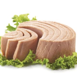 Ingrediente atún 