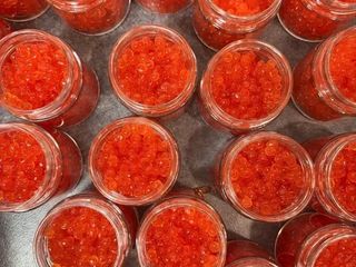 Кета ( 2025 рік ) Америка (200g)