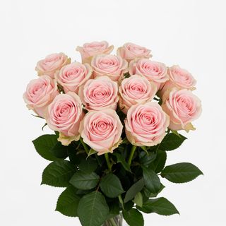 Bouquet Rose Douceur – 13 Roses