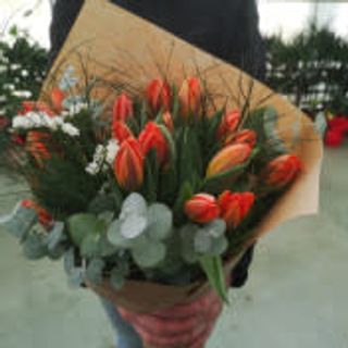 Tulipani trinaest komada i dekoracija 