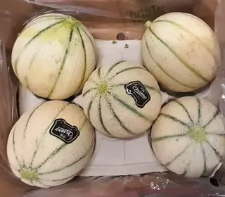 Melone cantalupo al pezzo 