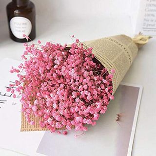 ვარდისფერი გიფსოფილა(მინი)