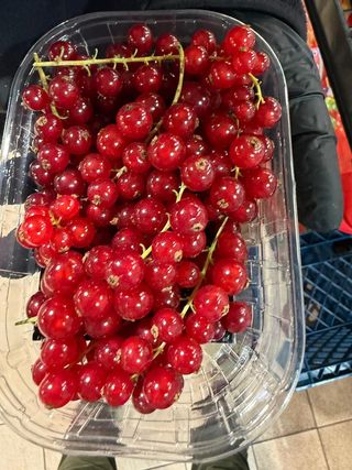 Ribes rossi 125 g
