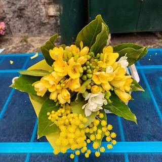 Raggio di Donna Fresie e mimose