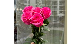 Bukiet Pink Flame z 5 amarantowych róż