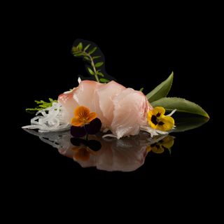 Sashimi Dorada  (4 Uds.)