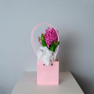 Zambiluta ghiveci in punguta roz