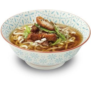 Tori Nanban Udon