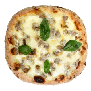 Porcini