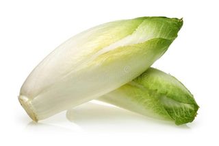 Endives Import 500g